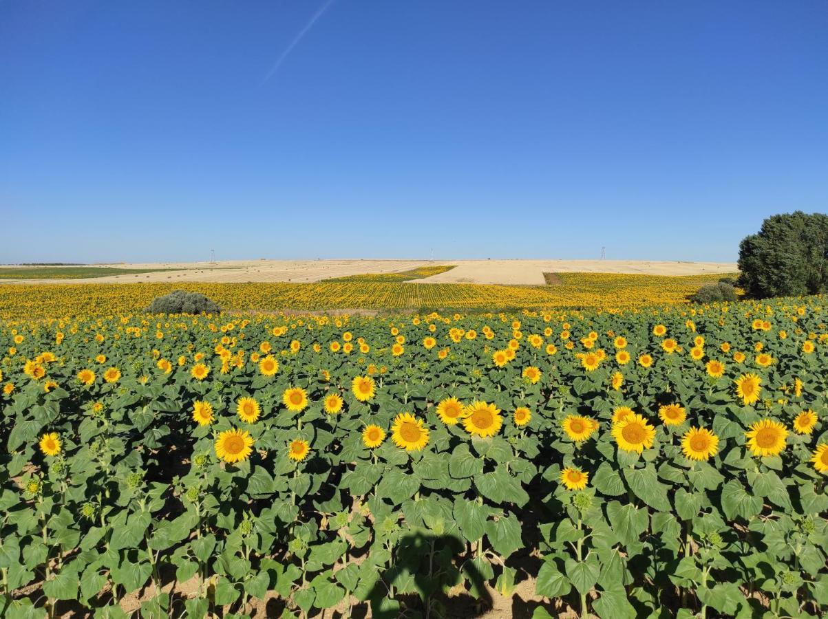 Vinarius, Posada Rural Castellanos de Villiquera Exteriör bild