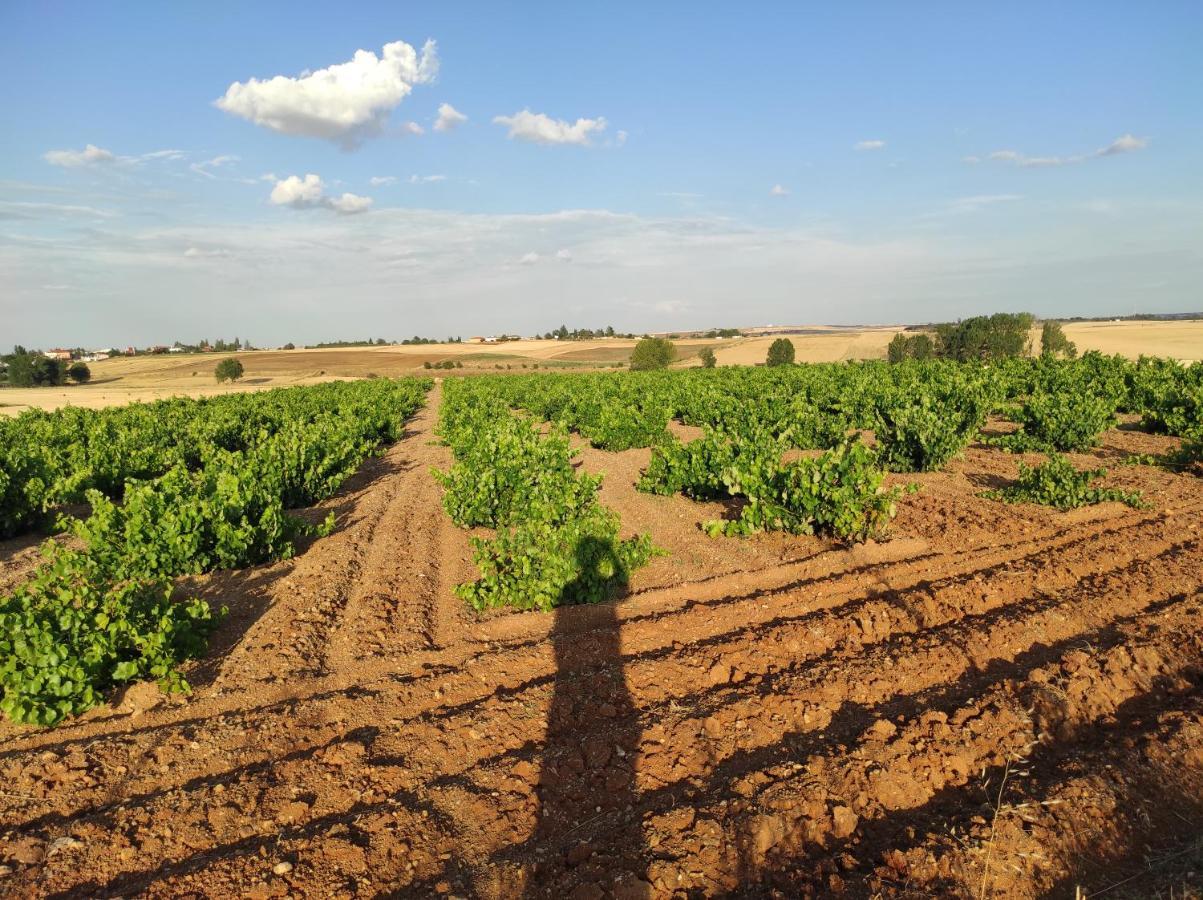 Vinarius, Posada Rural Castellanos de Villiquera Exteriör bild