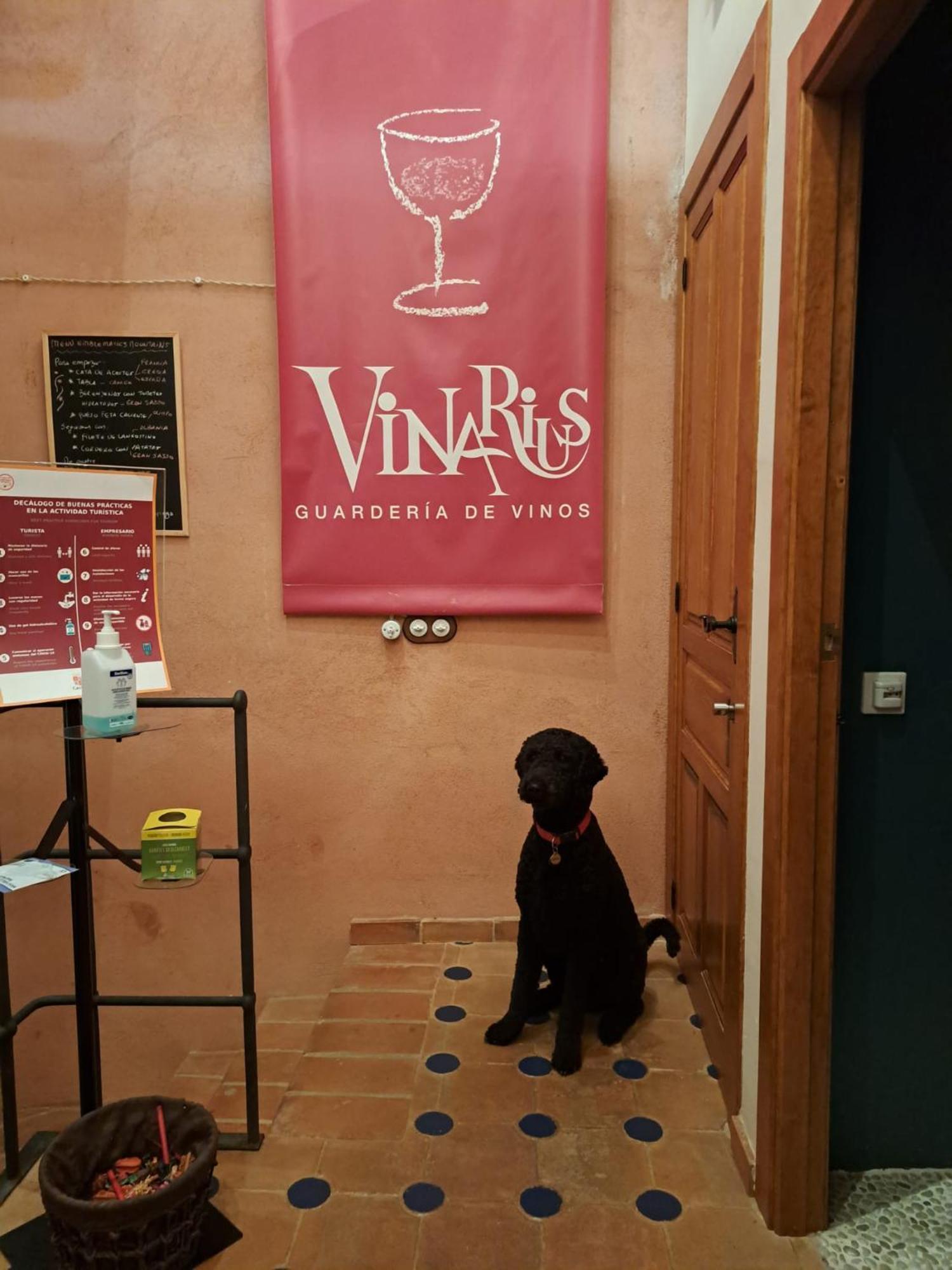 Vinarius, Posada Rural Castellanos de Villiquera Exteriör bild